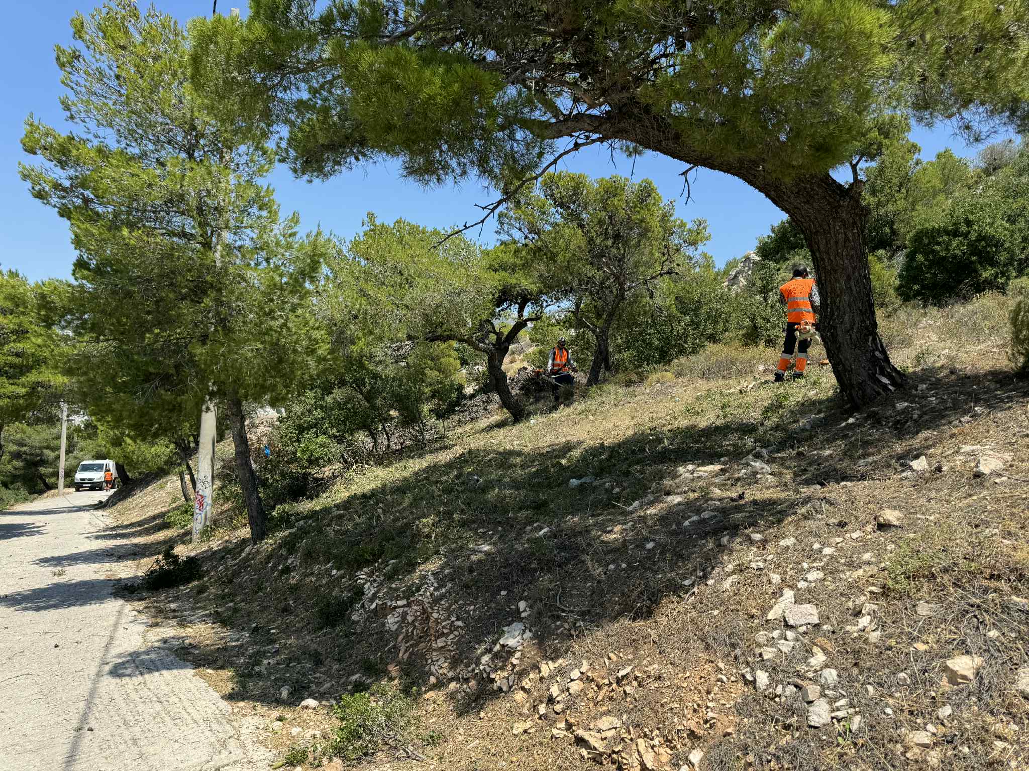 Zώνες πυροπροστασίας πέριξ των δρόμων που γειτνιάζουν με δασικές εκτάσεις στο Δήμο Βριλησσίων