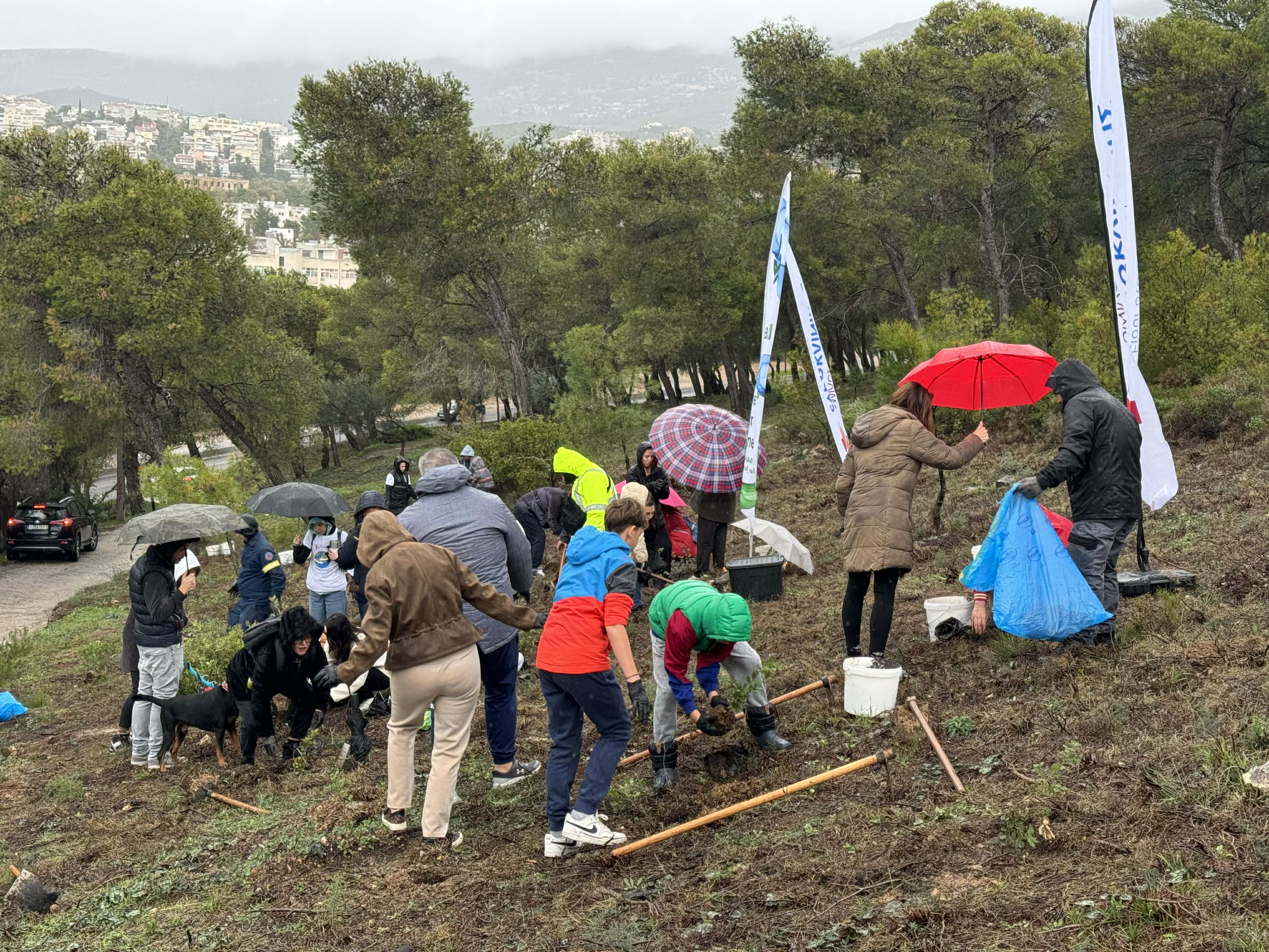 3fe55bb2 7f01 4a92 b4b2 11a462ab1ad2