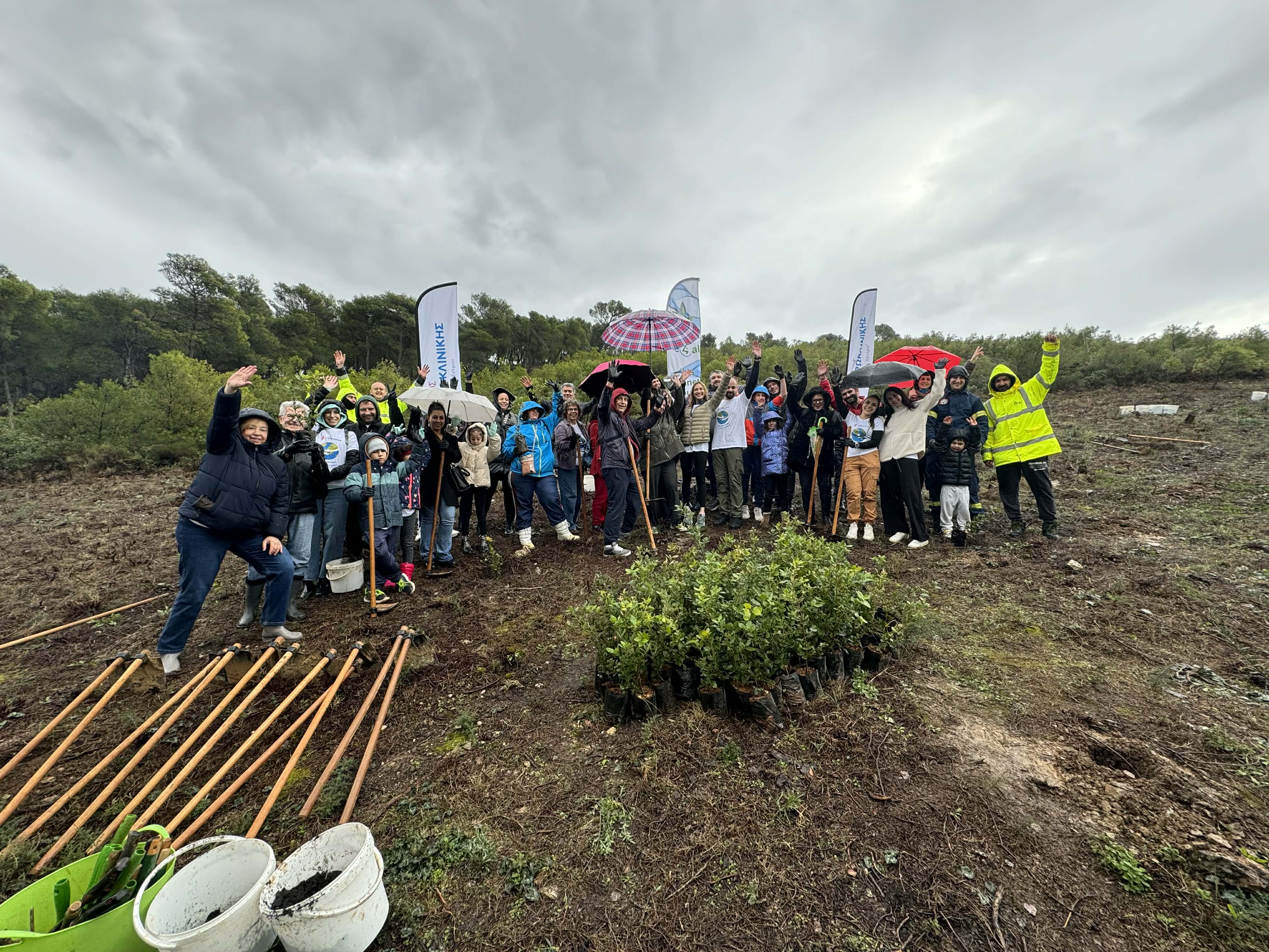 120 νέες βελανιδιές φυτεύτηκαν στην Παύλου Μελά στα Άνω Βριλήσσια 