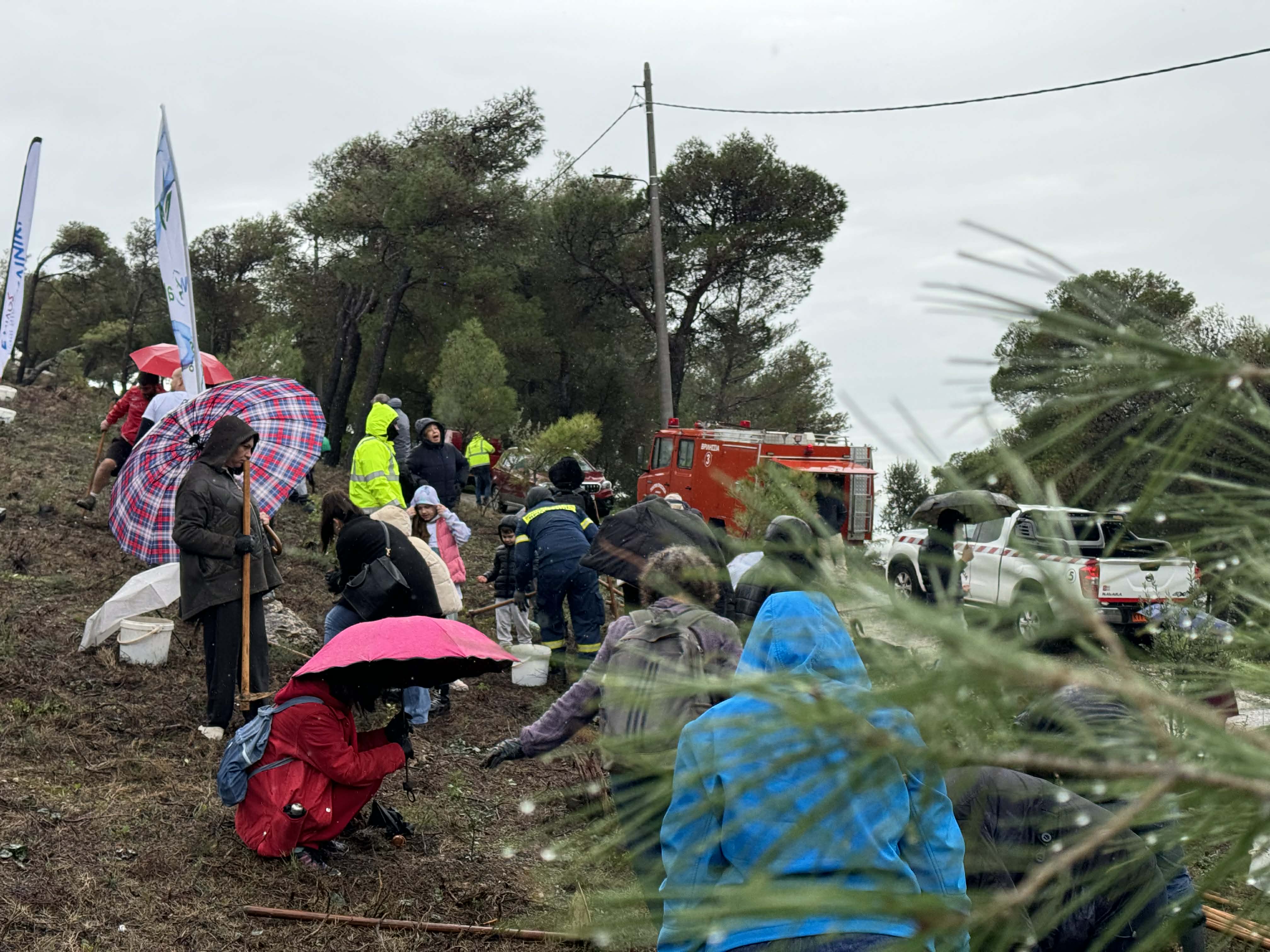 962a587c 7321 4df2 9f55 fef196a2344e