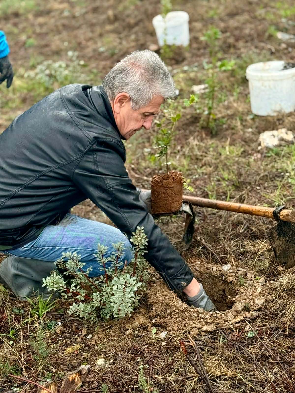 998c1f45 7ae7 474a 8f4a 1cdf5c2c2397