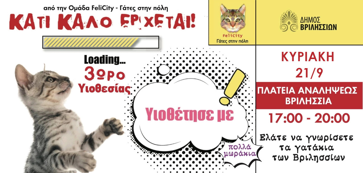 Felicity-Γάτες στην πόλη: Κυριακή υιοθεσίας στην πλατεία Αναλήψεως στις 21 Σεπτεμβρίου