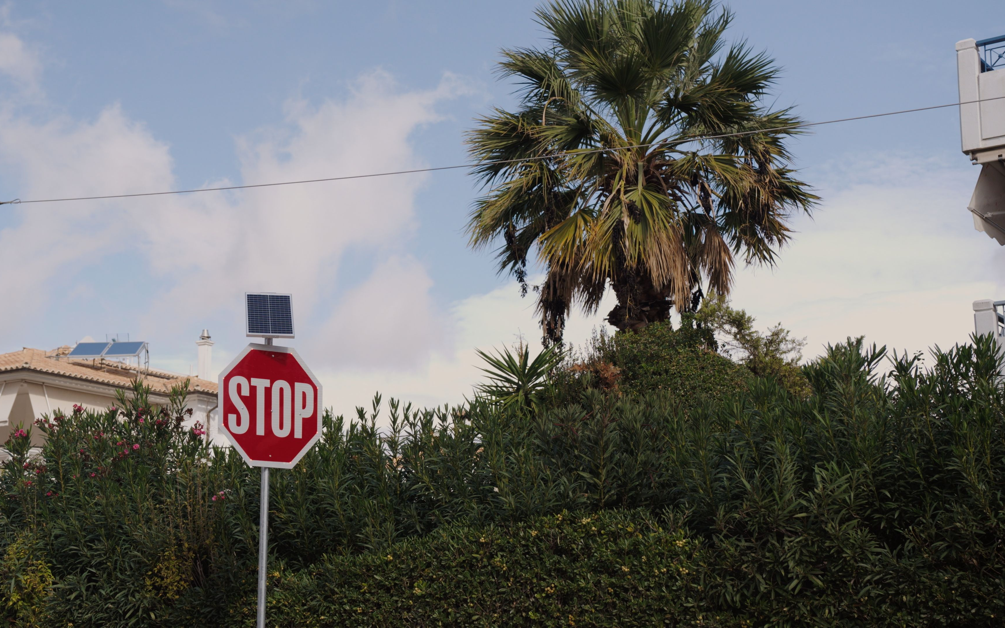 Still 2025 11 18 104806 2.10.1 fotor 20251118115125