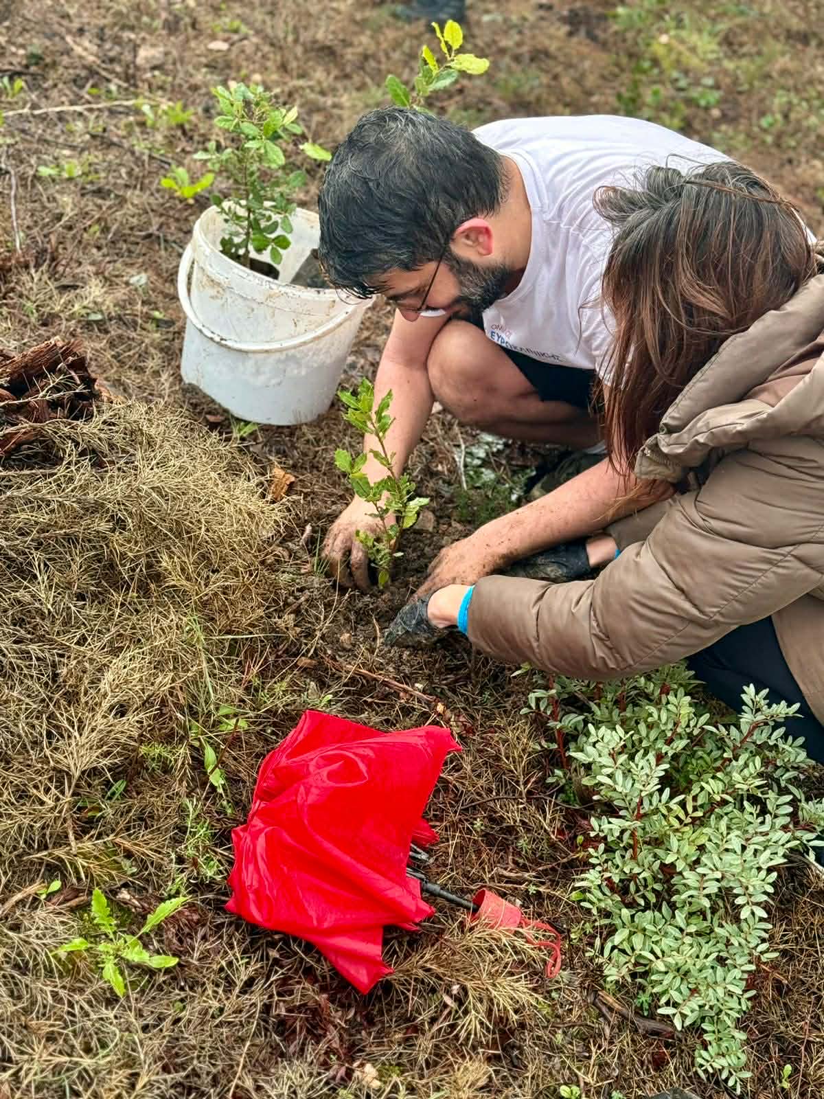 c7aaf5a7 73c4 4c35 9ece 5111fc21ee2e