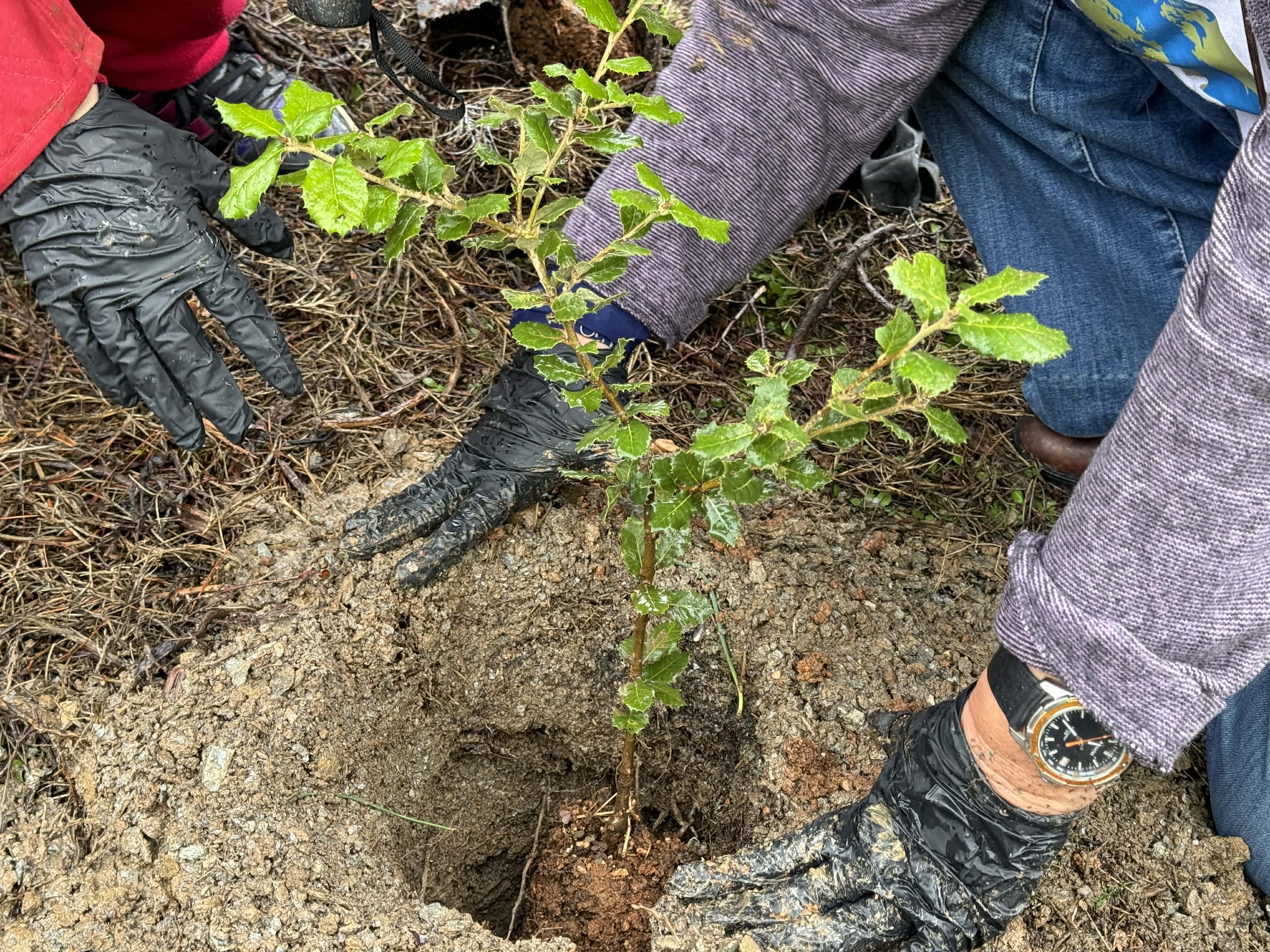 e34252bb 24e5 4d1e a183 71defef8e49e